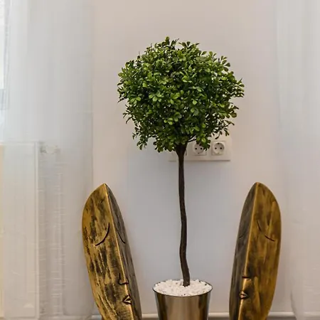 Appartement Wagner Estate 2- Central, Cozy, Terrace Braşov